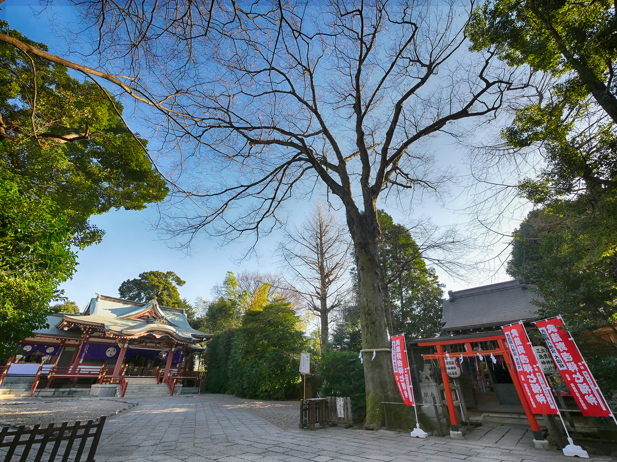 Musashino Hachimangu Shrine – Kichijoji