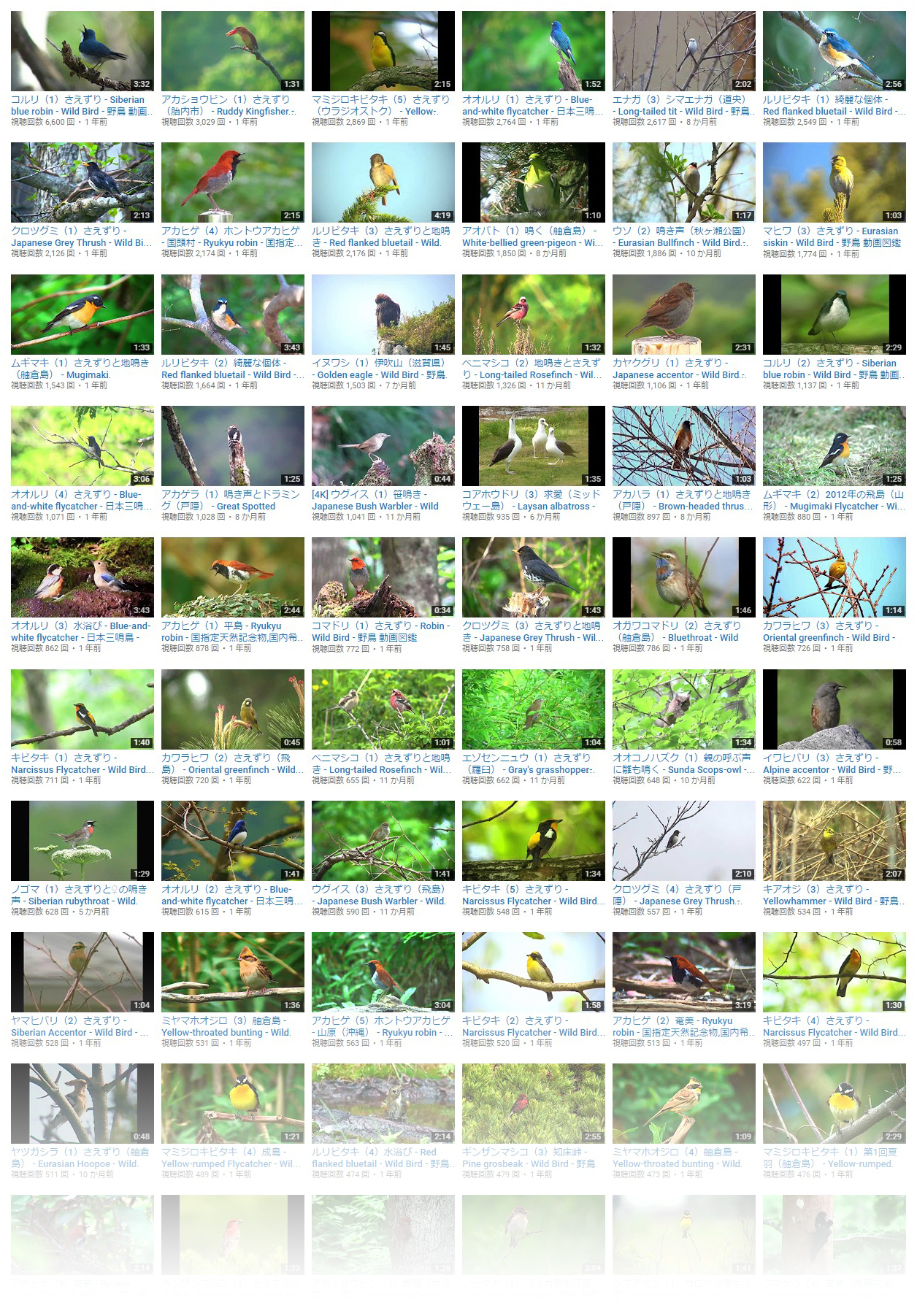 『野鳥動画図鑑』YouTubeチャンネル動画一覧から作成（200種到達時）