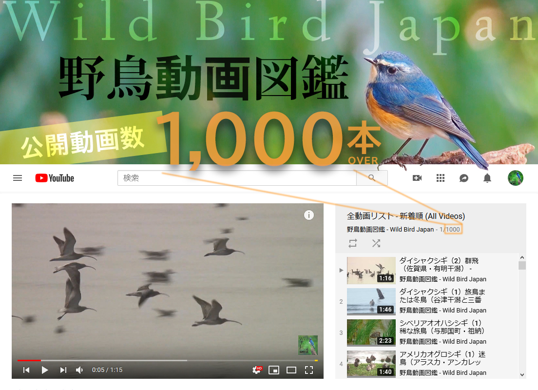 野鳥動画図鑑』YouTube公開済みの野鳥が「300種」を超えました！動画と鳴き声で愉しむ日本の野鳥図鑑は引き続き見放題です⌒('Θ')⌒ |  YujiKudo.com