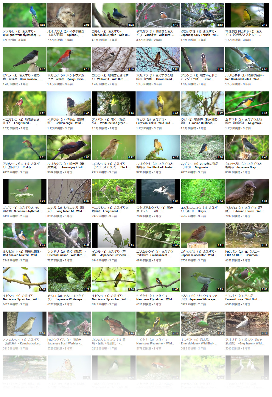 野鳥動画図鑑』YouTube公開済み野鳥数がいよいよ大台の「600種類」を超えました！動画と鳴き声で愉しむ日本の野鳥図鑑は千本超の映像が引き続き見放題です⌒('Θ')⌒  | YujiKudo.com